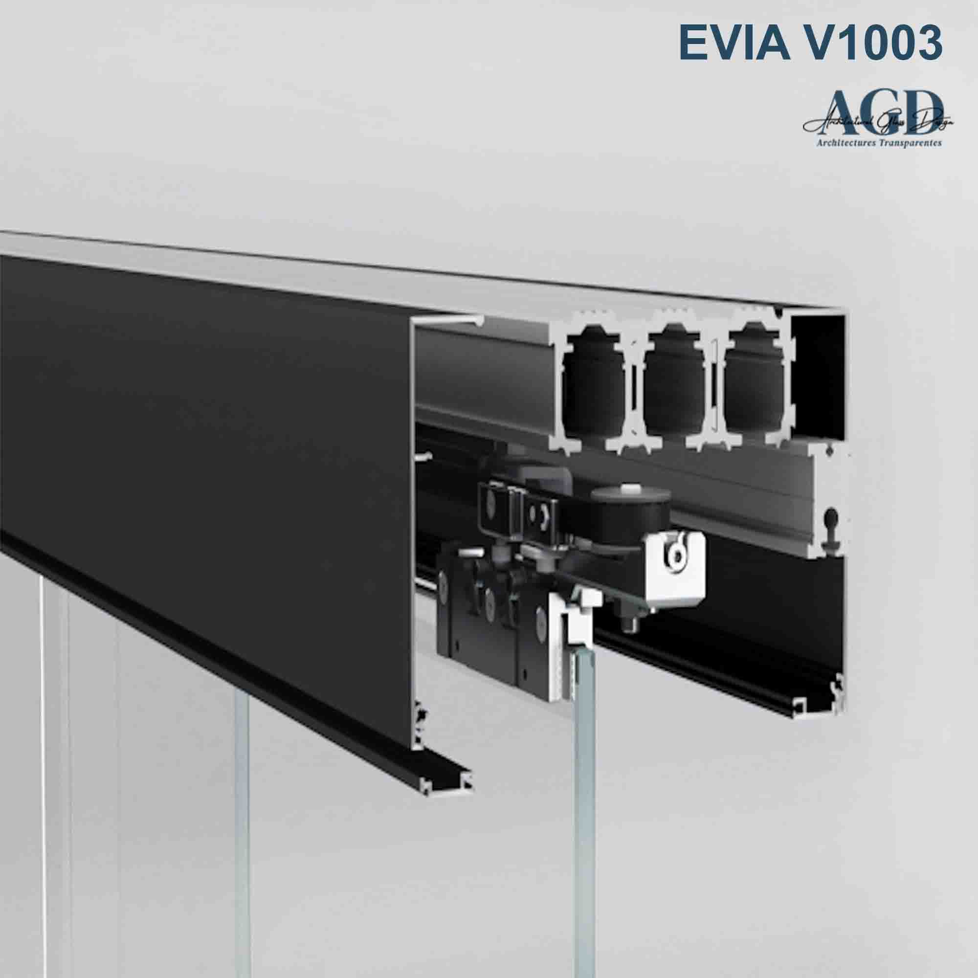 Porte en verre télescopique EVIA V1004